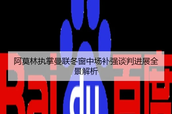 阿莫林执掌曼联冬窗中场补强谈判进展全景解析